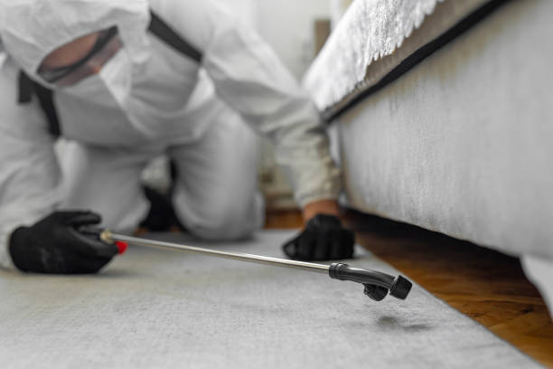 Professional Cockroach Control technician working in Pine City, MN